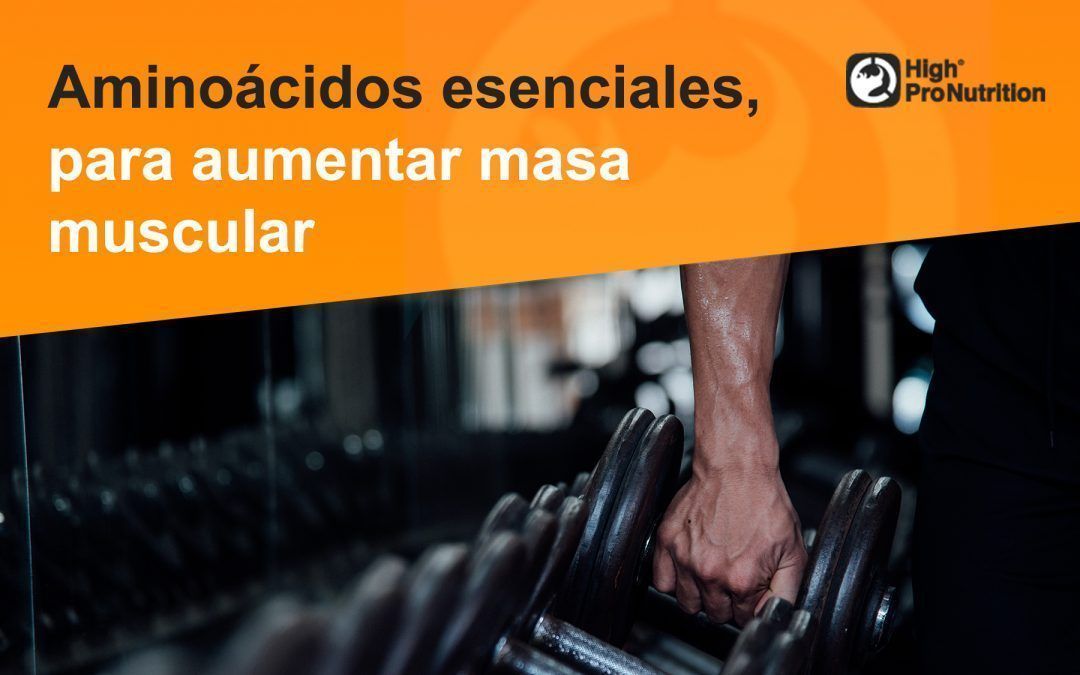 Aminoácidos esenciales para aumentar la masa muscular